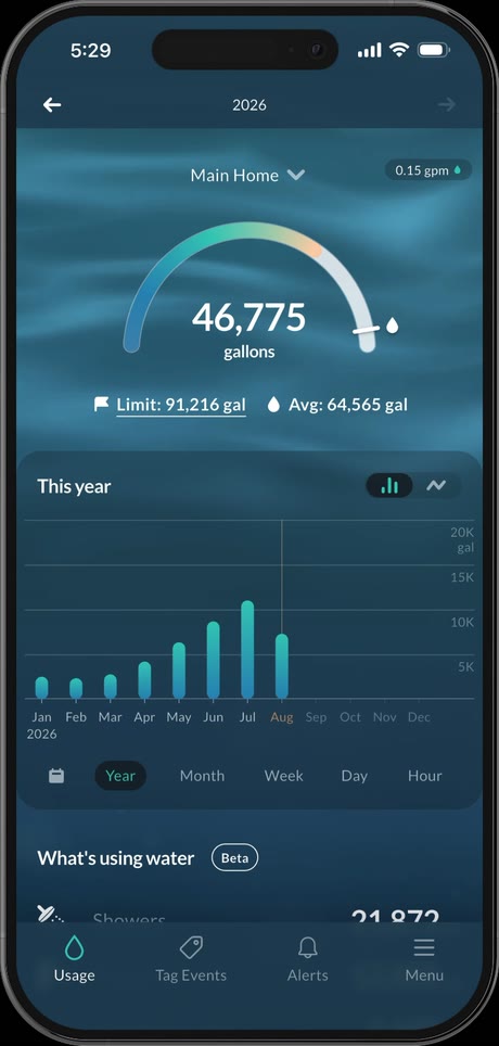 Yearly water-usage dashboard with an hour-to-year time-range selector.